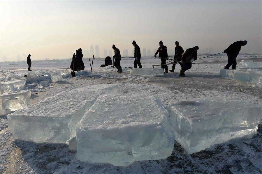 哈爾濱冬季采(cai)冰 采冰工具